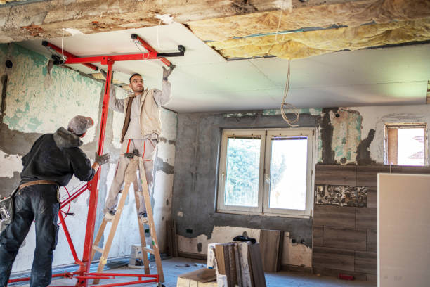 Best Eco-Friendly Insulation in Galatia, IL