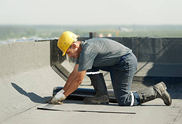 Best Cellulose Insulation in Galatia, IL